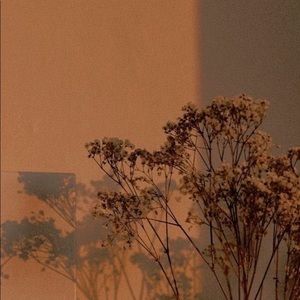 Meet your Posher, Joyce